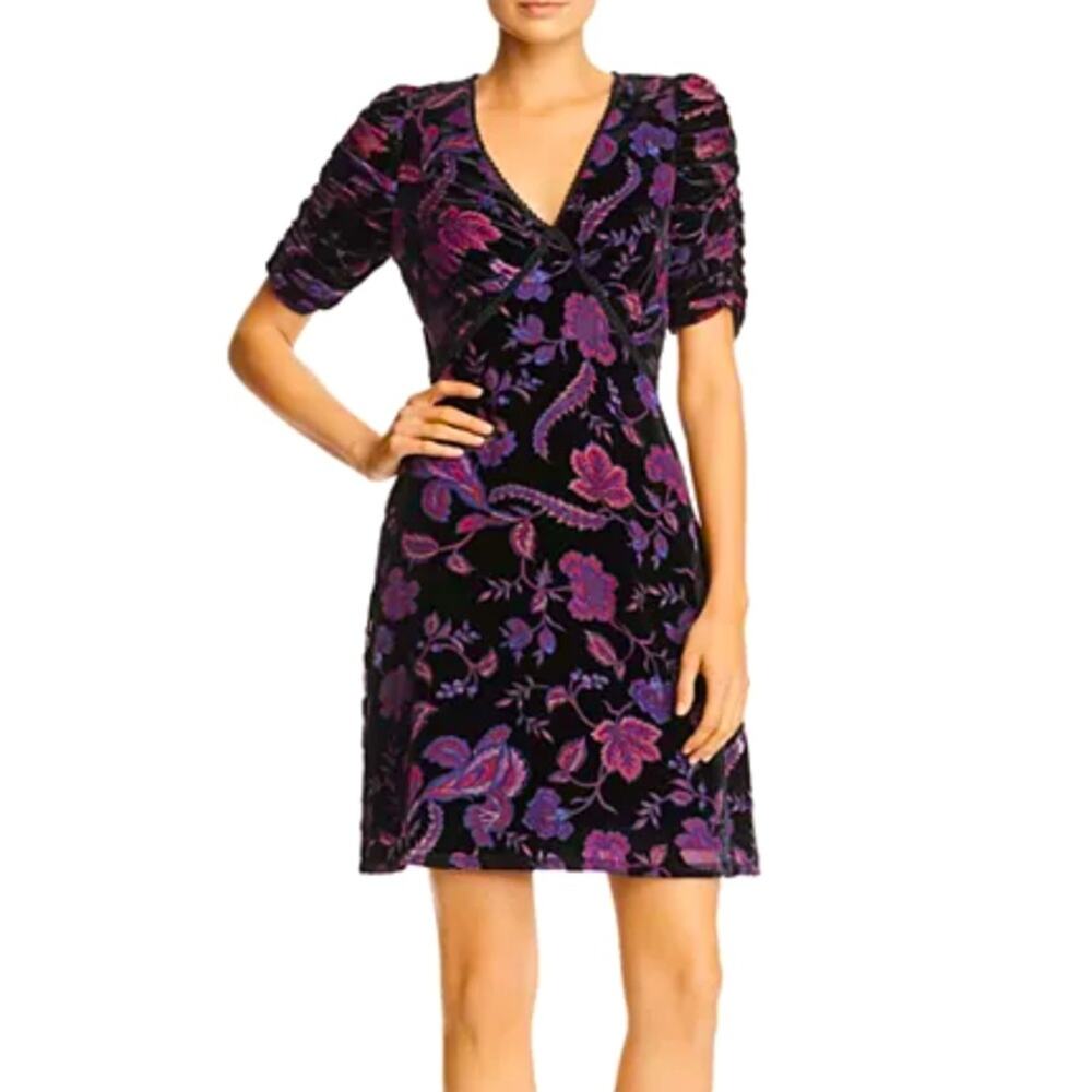 Rebecca Minkoff Arlette Botanical Burnout Velvet Dress Size 4